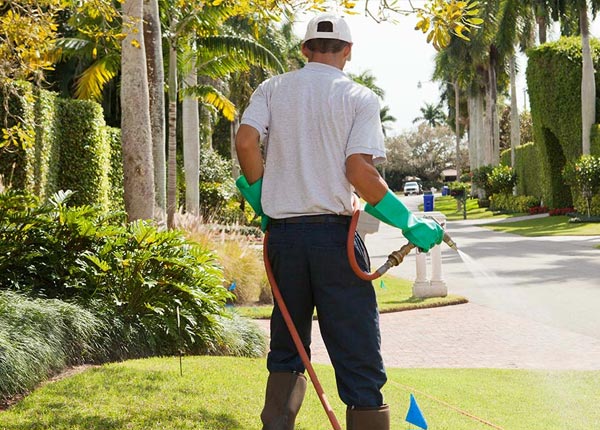 About Otis KS Pest Control